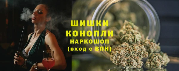 PSILOCYBIN Корсаков