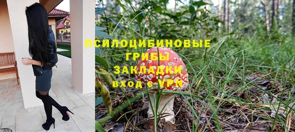 прущие крисы Балахна