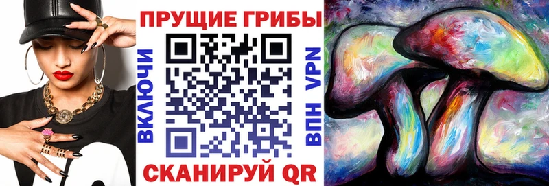Псилоцибиновые грибы GOLDEN TEACHER  что такое   ссылка на мегу зеркало  Буинск 